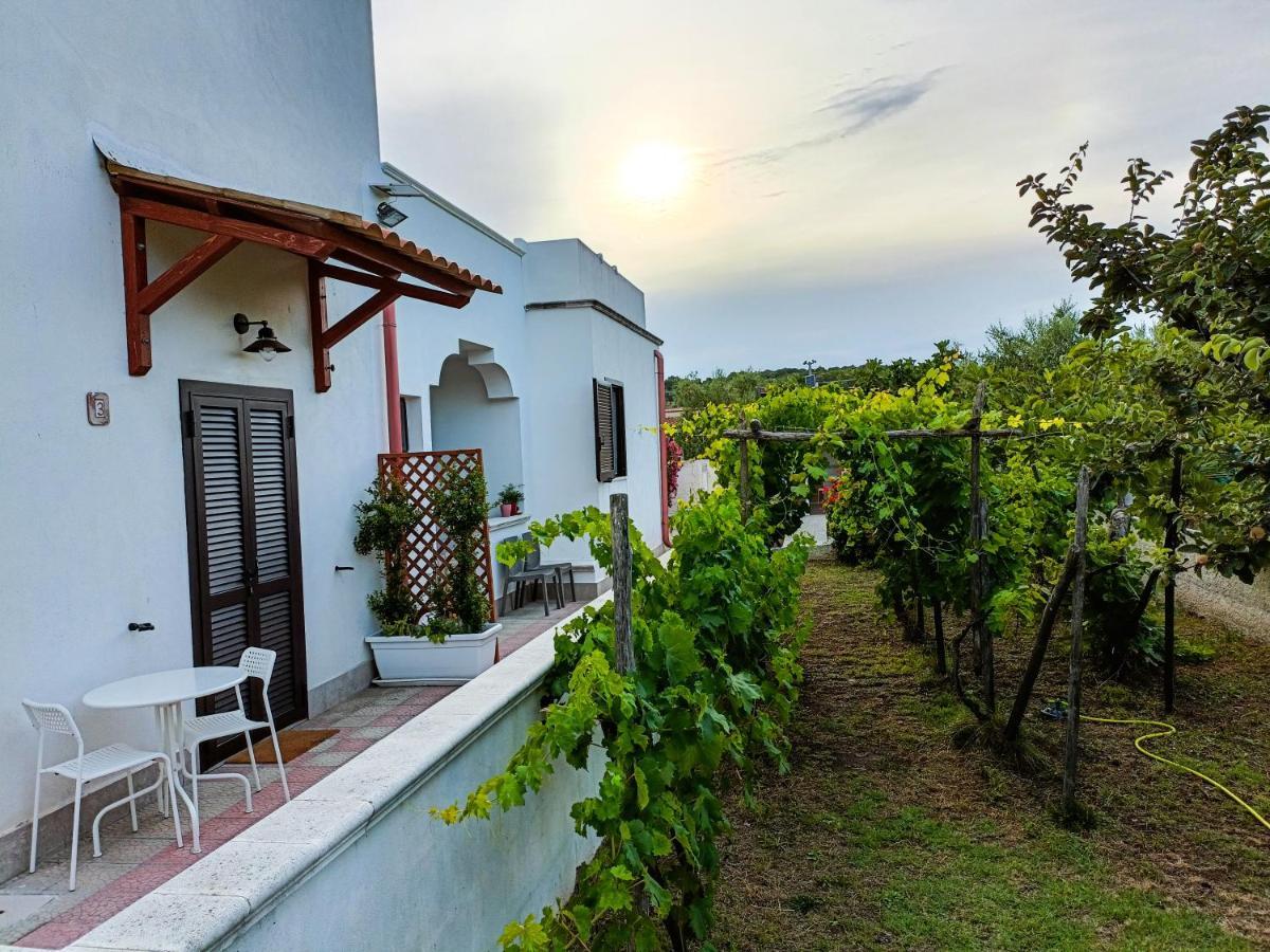 Il Giunco B&B Весте Екстериор снимка