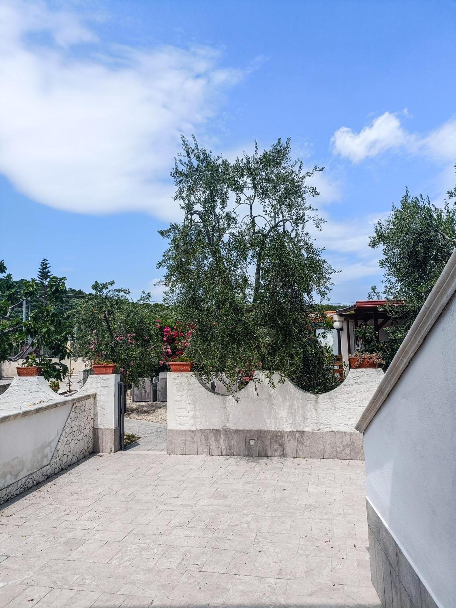 Il Giunco B&B Весте Екстериор снимка