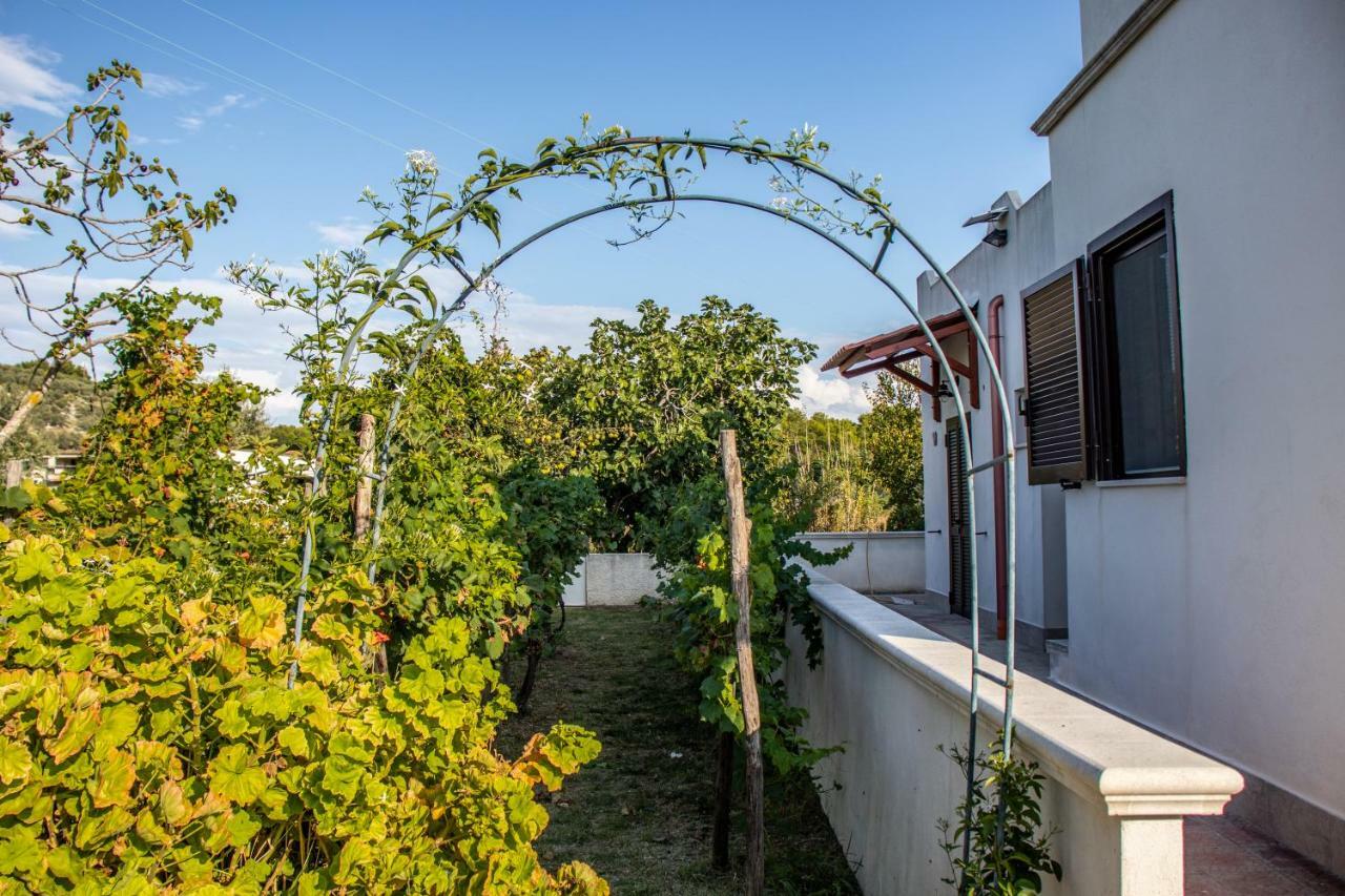 Il Giunco B&B Весте Екстериор снимка